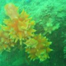 레저클럽