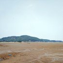 쥬라기카라반 이미지