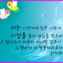 도계초교 이미지