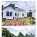 제주달로와 이미지