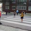 의림초등학교 이미지