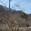 옛집민박 이미지