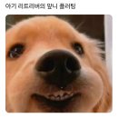 심쿵 이미지