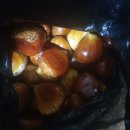 공주(대전) 이미지