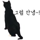 멜버른승마 이미지