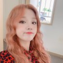 우기차니