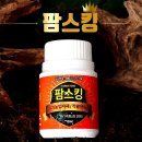팜스킹 식물 영양제 후기: 배추부터 텃밭까지 수경재배 완벽 관리!