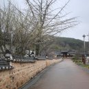 꽃심지 둔데기마을 이미지