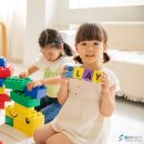 창의 과학 블록 이미지