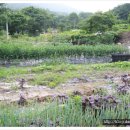 장유농장 이미지