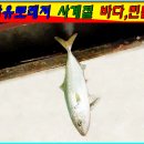 자유로낚시터 이미지