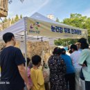 나눔공원 게이트볼장 이미지