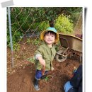 이안농장 이미지