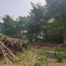 부산여자중학교 이미지