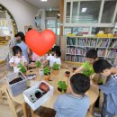 시초초등학교병설유치원 이미지