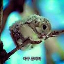 여행나라 이미지