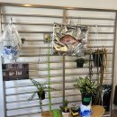 동재약국 이미지