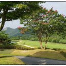 선운모텔 이미지