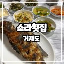 다대어촌체험마을 | 거제도 남부 맛집 / 신선한 회와 생선구이가 맛있는 다대 어촌체험마을 소라횟집