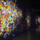 나비환상곡 이미지