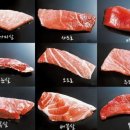 긴자참치 이미지