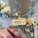 네일린 이미지
