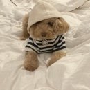 재봉틀로 시작한 옷 만들기 | 재봉틀로 강아지옷 만들기(후드티, 티셔츠, 조끼)