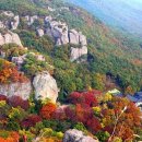 양지-3516 이미지