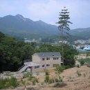 가재골산장 이미지