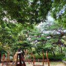 중앙공원 분수대옆 이미지