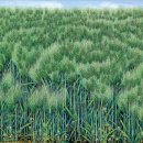 보리약국 이미지