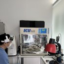 대정동물병원 이미지