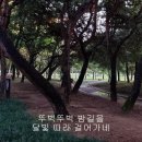 황혼의 숲(조재선 시, 이안삼 곡) - 전준한 바리톤 이미지