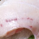 유진참치 이미지