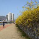 동천민박 이미지