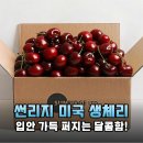 썬리지 네이버블로그