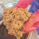 덕암안길 | 순천덕암동맛집 계절음식전문점 서대회 무침 비빔밥이 맛깔스러운 입맛대로