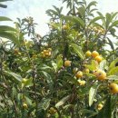 무랑민박 이미지