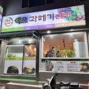 해초과메기양정점 이미지