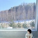 용산리2 소교량 24 | 평창 키즈 펜션 루체포레 풀빌라, 아기랑 24시간 온수풀 숙소 후기