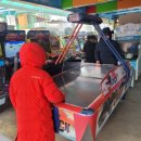 개구리게임장 이미지