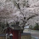 구례의길(섬진강길) 이미지