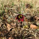 선유고등학교 이미지