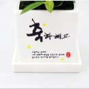 조아그린 이미지