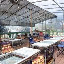 두식이펜션 이미지