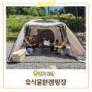 포천 유식물원캠핑장 내돈내산 후기! 아이와 함께한 1박 2일 가족캠핑