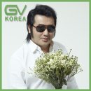 GV전자담배그린베이퍼