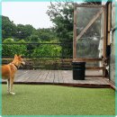 힐포인트 이미지