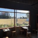 서광초동광분교장 | [안덕/제주도] 제주안덕카페 동광분교인디이스트 후기(매장 정보, 메뉴 정보, 애견동반 가능 등)