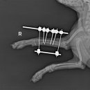 우리들동물병원 이미지